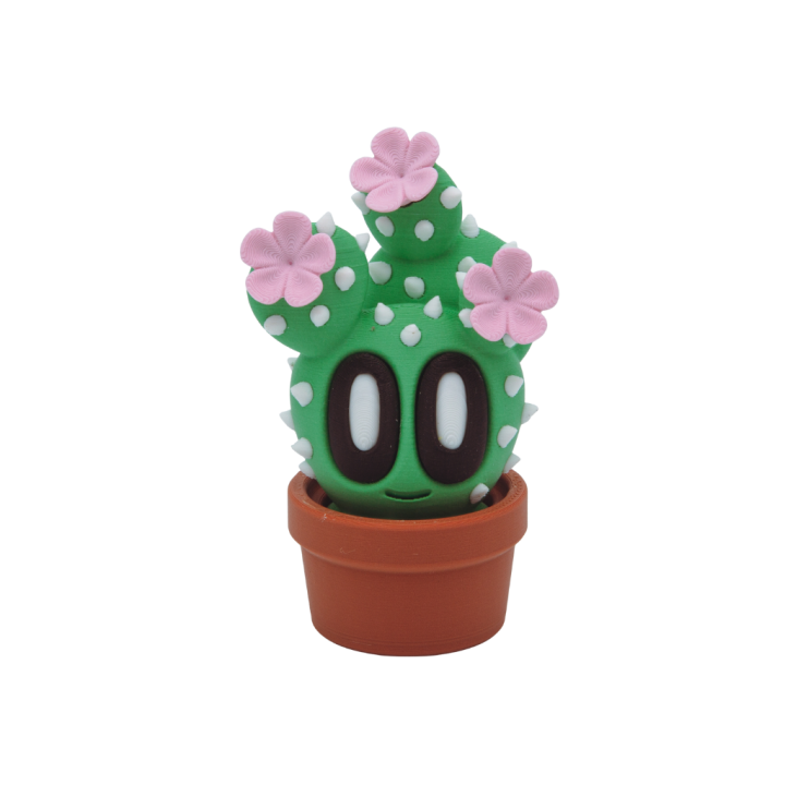 Cactus en fleurs