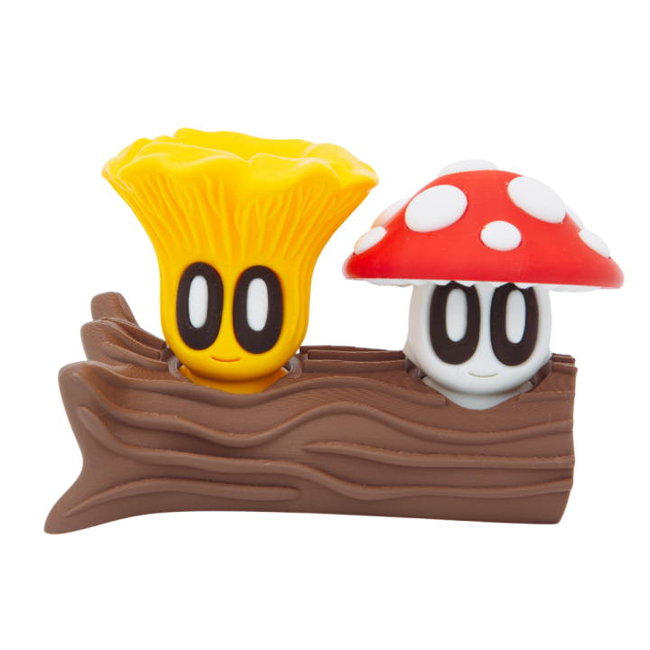 Accessoires - Souche double