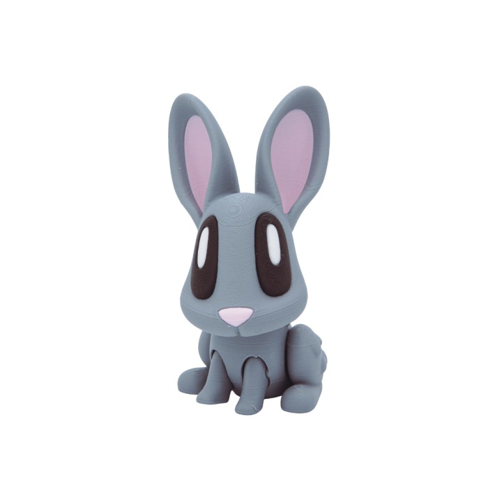 Lapin