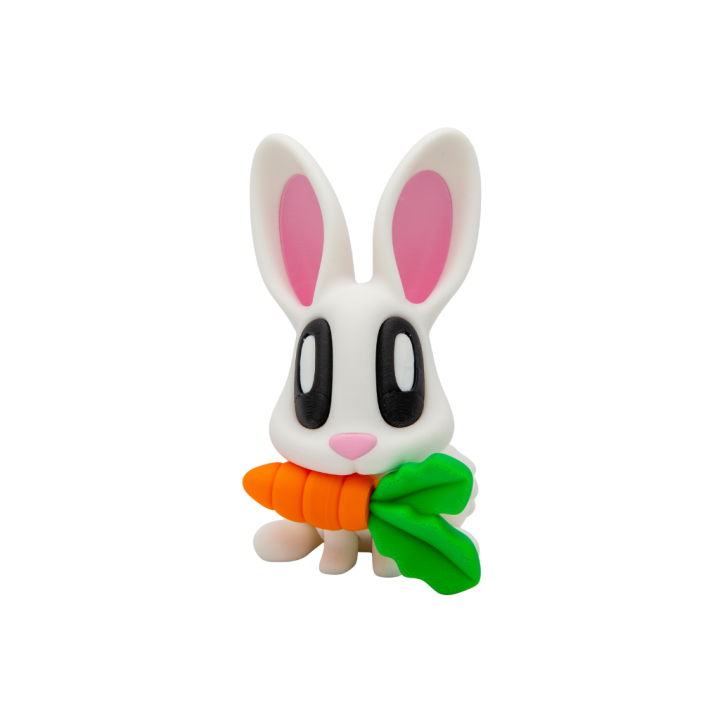 Lapin avec carotte aimantée