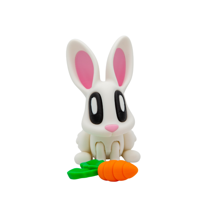 Lapin avec carotte aimantée