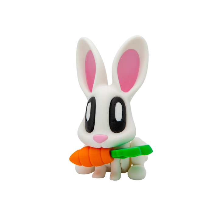 Lapin avec carotte aimantée