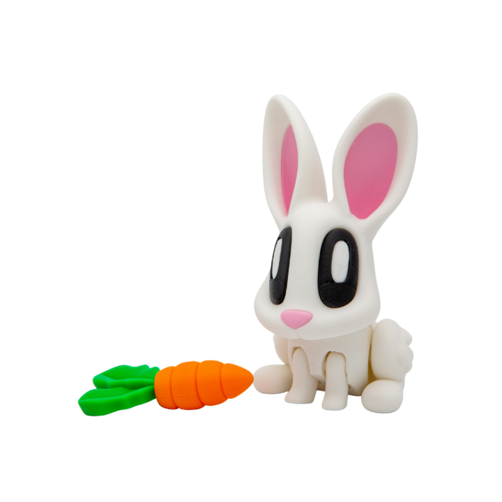 Lapin avec carotte aimantée
