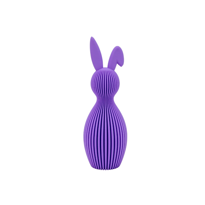 Lapin Ribbed Oreille inclinée