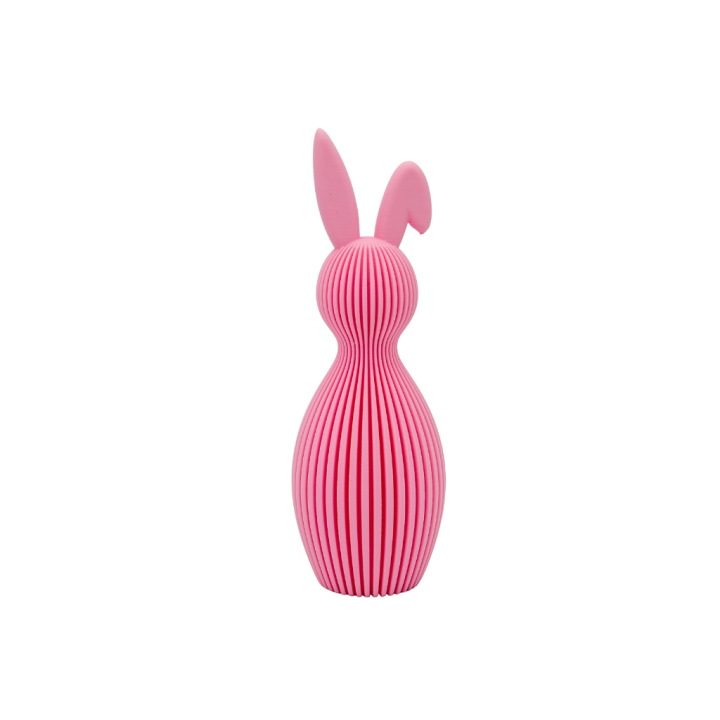 Lapin Ribbed Oreille inclinée