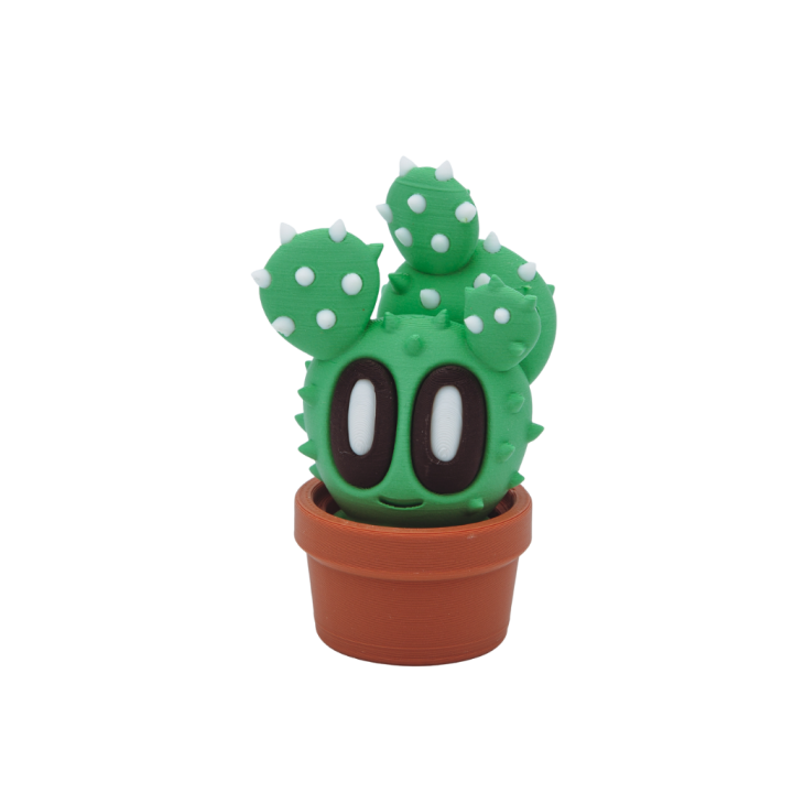 Cactus