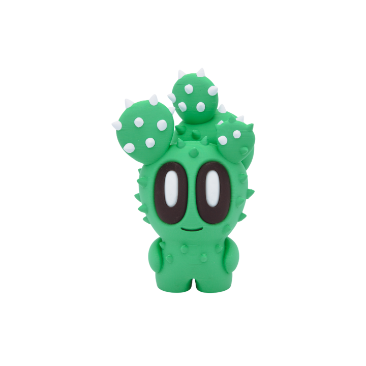 Cactus