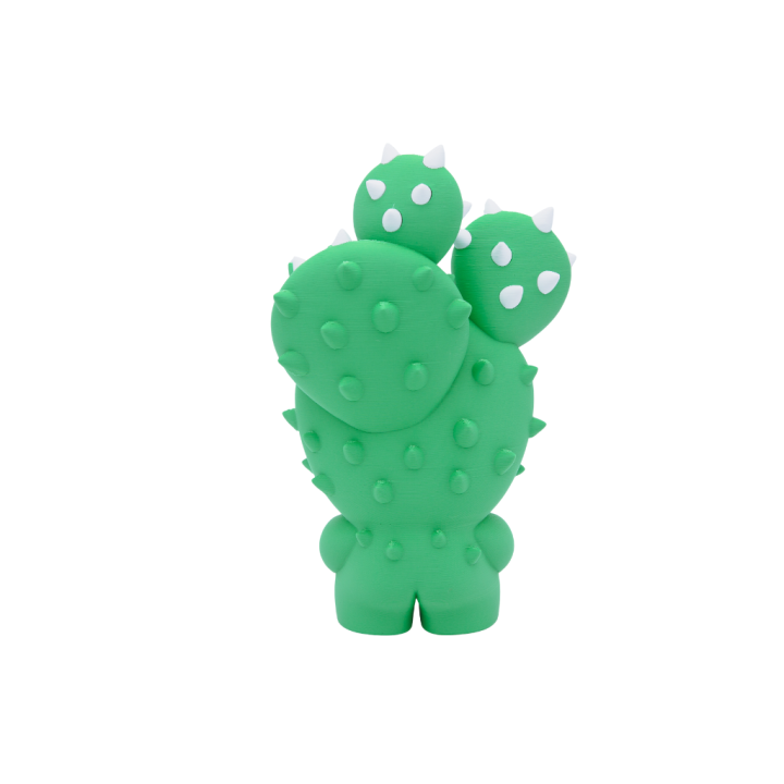 Cactus