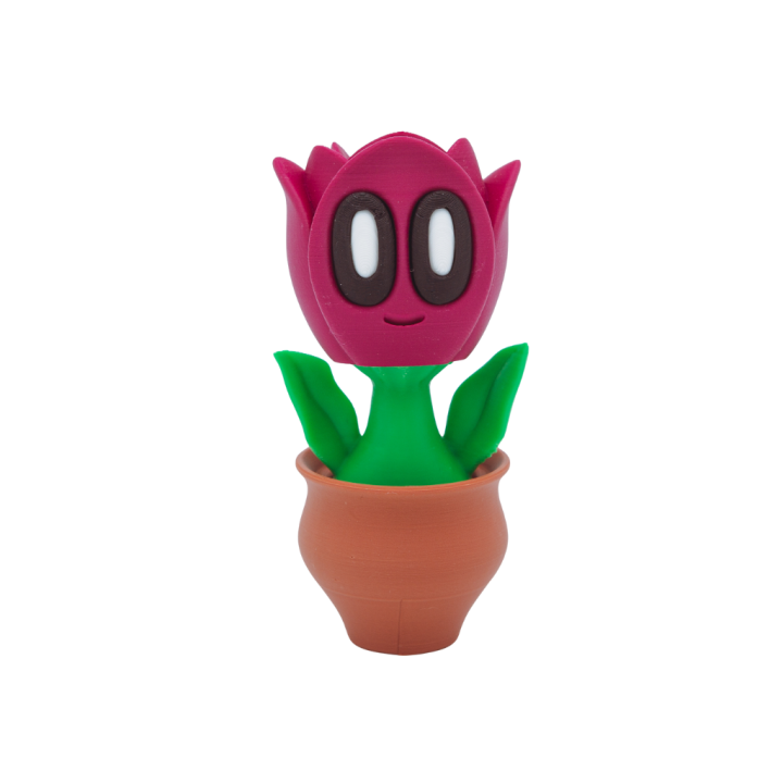 Tulipe