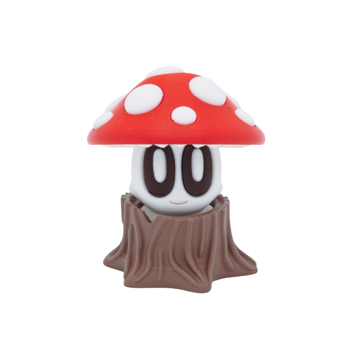 Toadstool