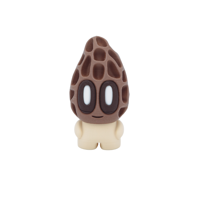 Morel