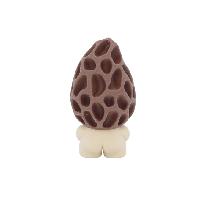 Morel